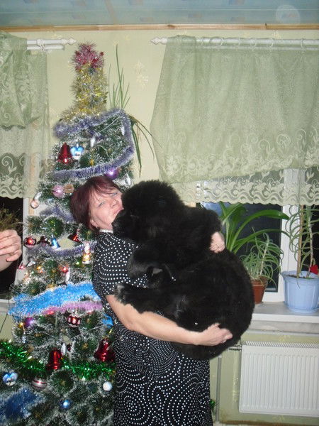 Марина Покладова