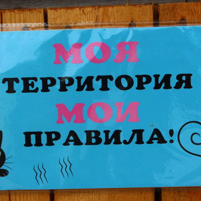 Ирина Лаврова