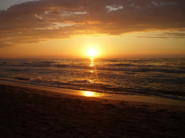 Евгений Панов