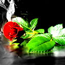 **girl** ***angel***