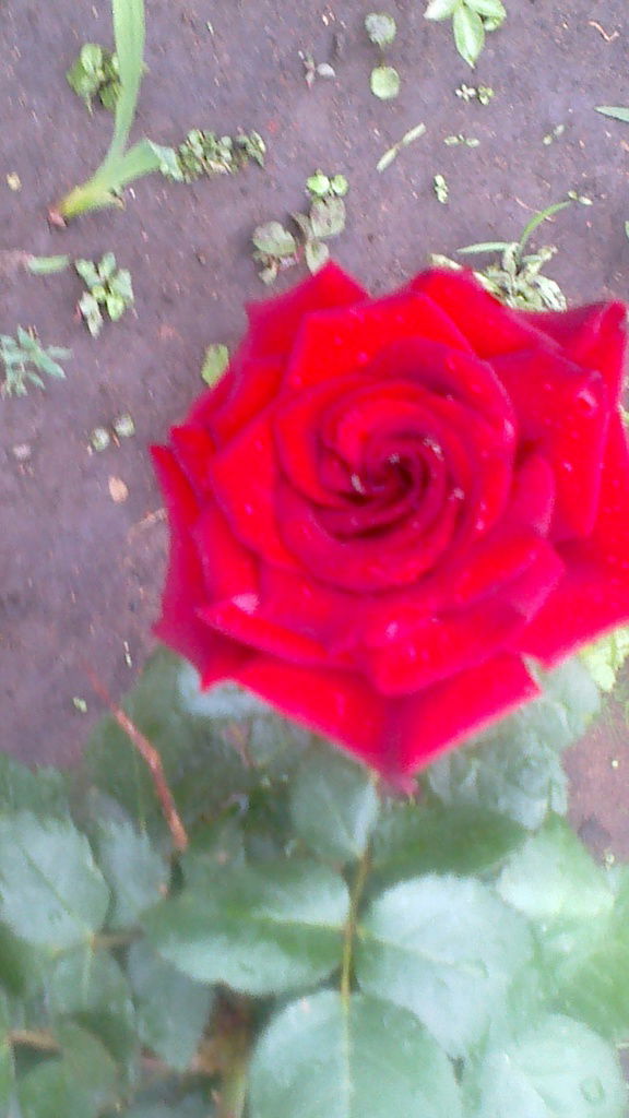 Ан@ст@сия Владимировна