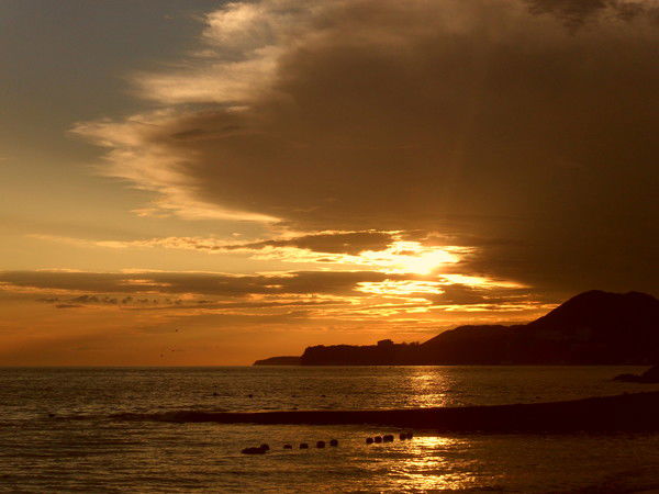 Анастасия Федотова