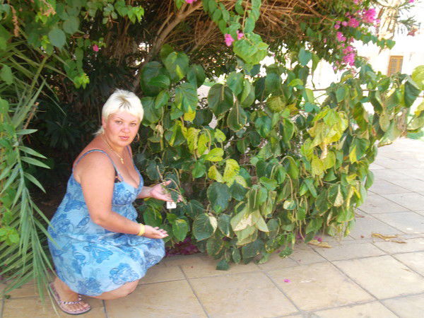 Наталья Маслова