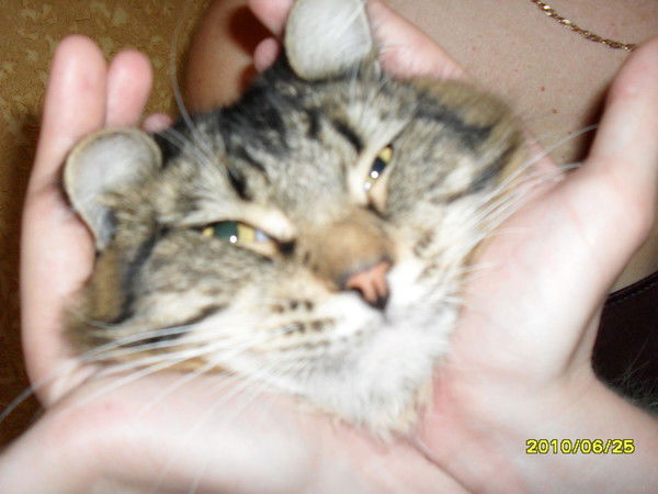 Татьяна Нови