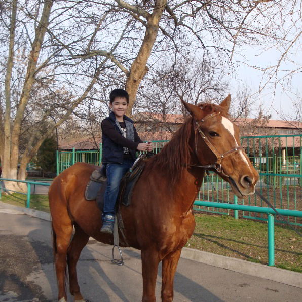 Махкамбек Пулатов