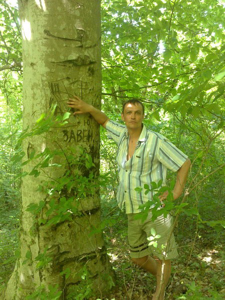 Андрей Мельников