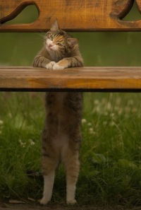 Александр Журбин