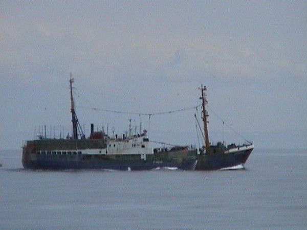 Кузя Кузькин