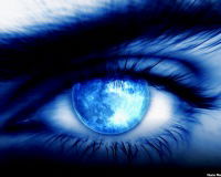 Андрей Перков