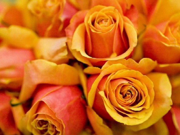 Валерия Манушкина