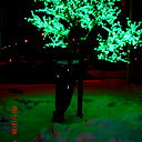 Андрей Шмырин