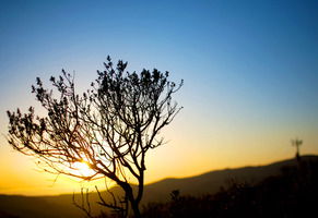 Руслан Филиппов