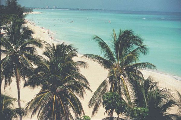 Василиса Гранаткина