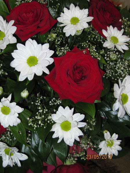 Светлана Подгайная