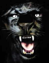 Эвелина Есаян