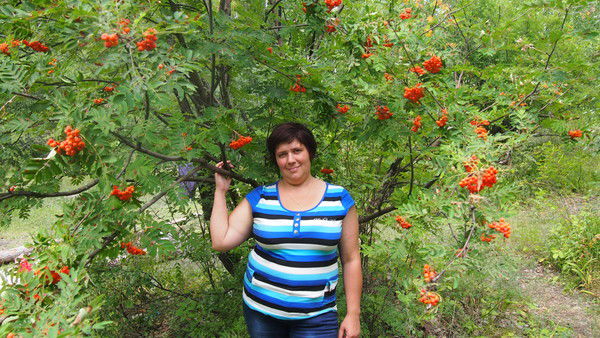 Елена Иванова