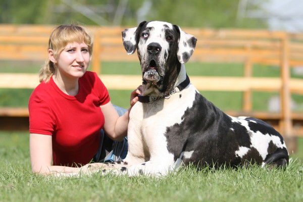 Елена Левшина