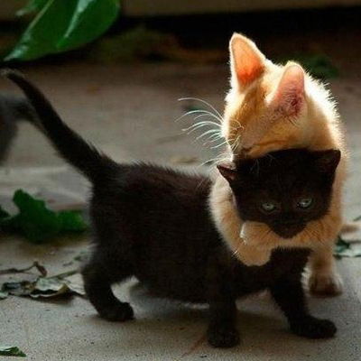 Мария Ильева