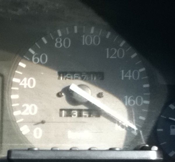 Алишер Алматулы