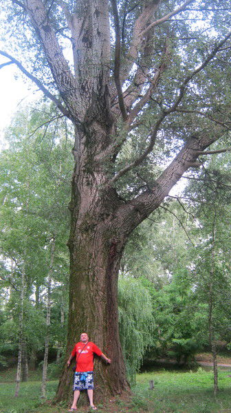 Назар Соляк