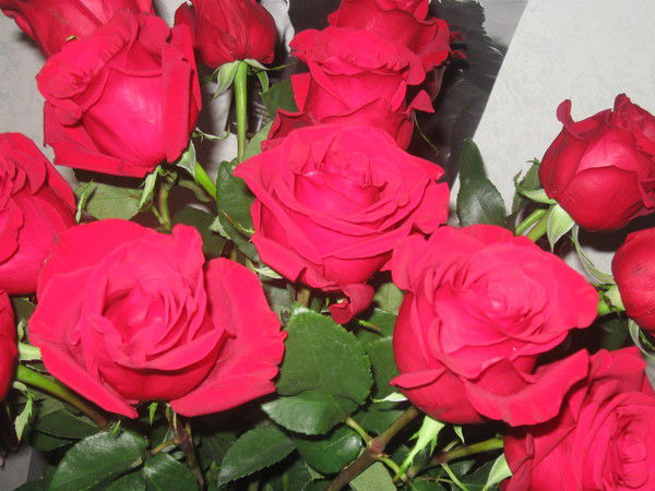 Кумус Шукаева