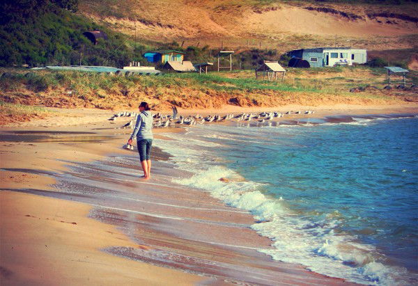 Арина Науменко