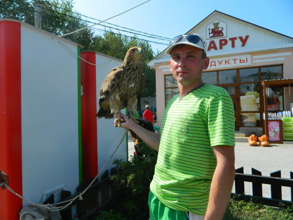 Вадим Довгальский