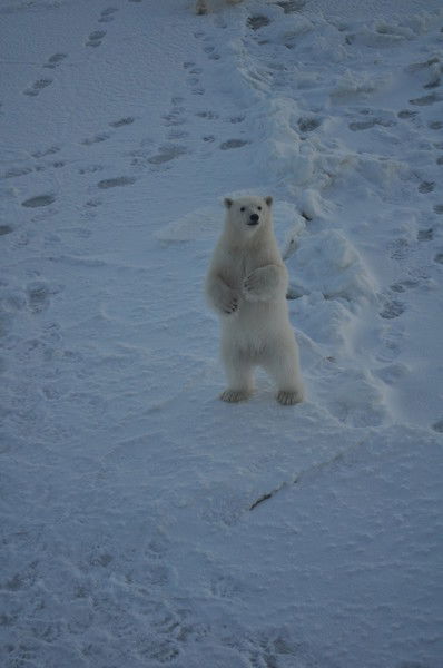 Сергей Шимохин