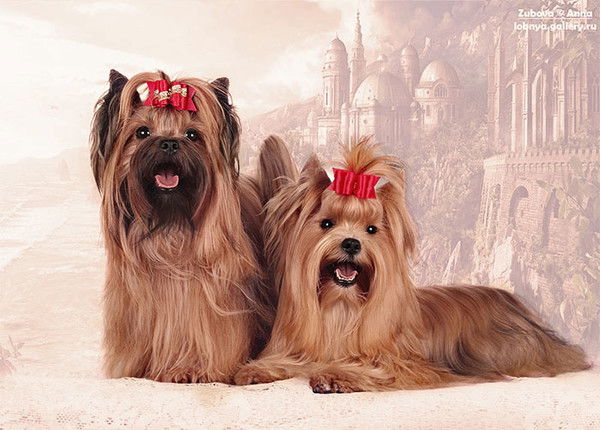 Оксана Филиппова