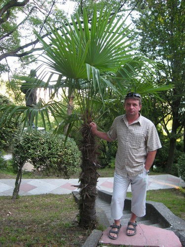 Владимир Строк