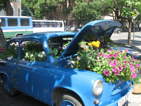 Нина Стецишина