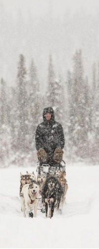 Николай Андреевич
