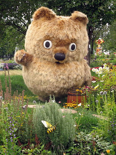 Василий Грибуля