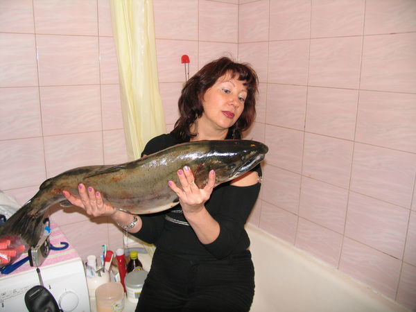 Елена Камалова