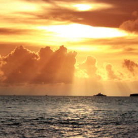 Алексей Зеленский