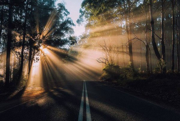 Нуркен Жусупов