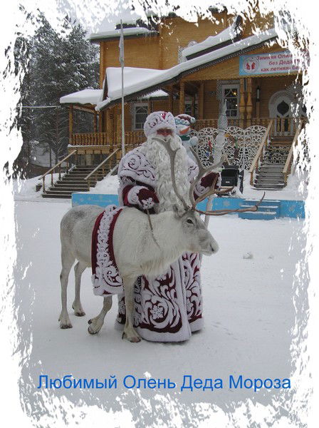 Анатолий Дитятьев