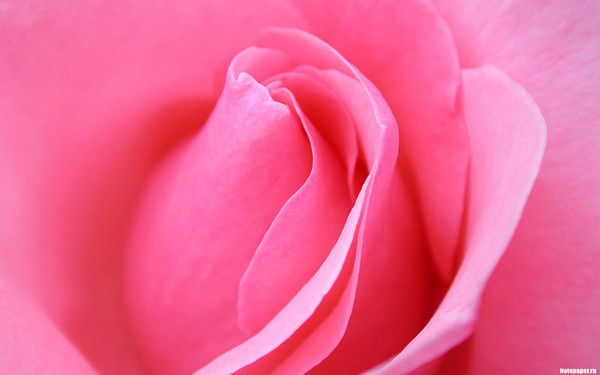 Виктория Павленко