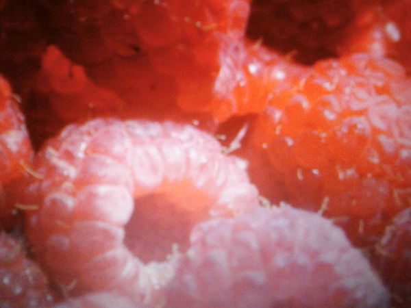 Алексей Мурадов