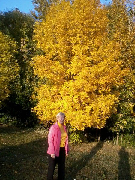 Наталья Влад