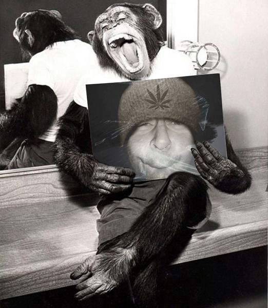 Гоги Пупырышкин