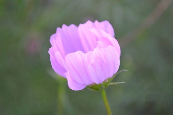 Татьяна Кальницкая