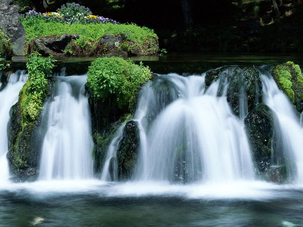 Николай Павлюков