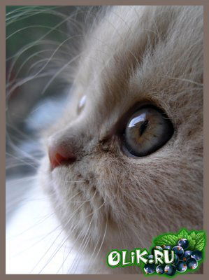 Ирина Шабалина