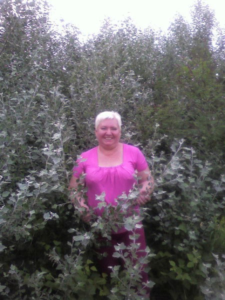 Елена Евсеева