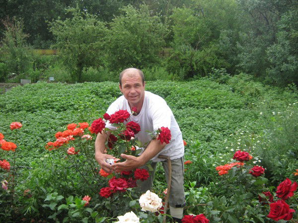 Владимир Долгин