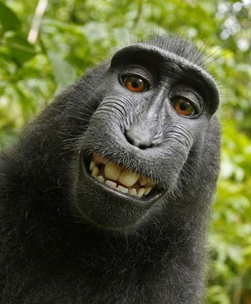 Наталья Астафьева