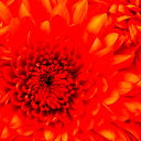 Сергей @ Mail.ru