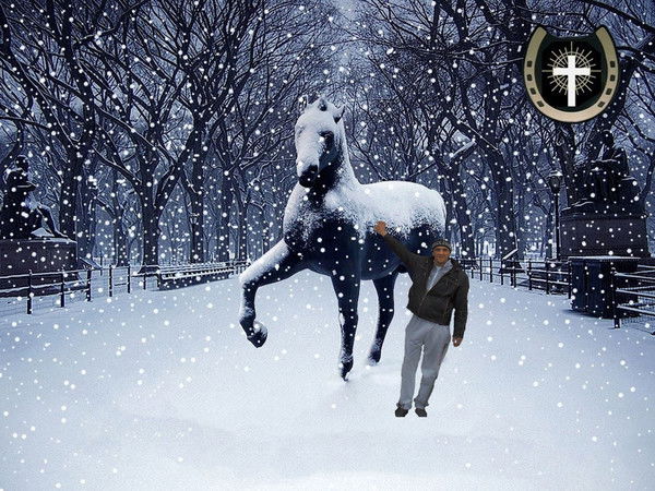 Владимир Неизвестна