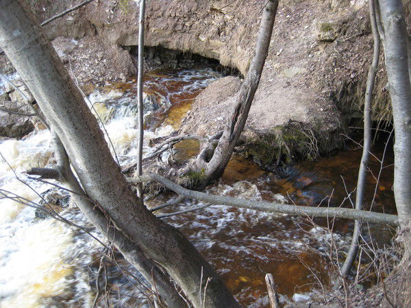 Александр Трушин